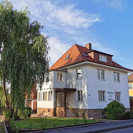 Friedrich Mit Kamin *